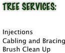 Tree Services:

Injections
Cabling and Bracing
Brush Clean Up
